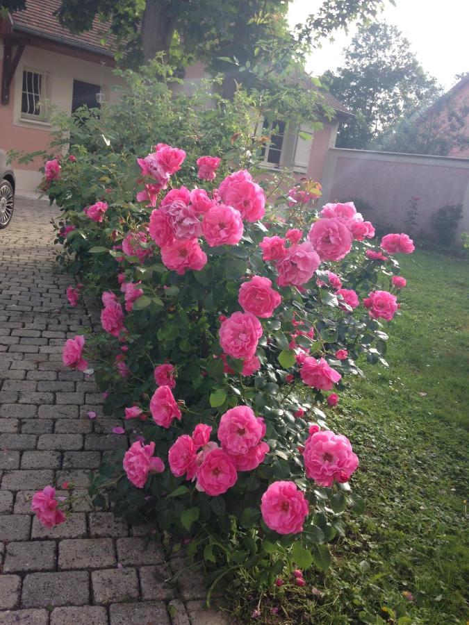 Rose Garden Mezzanine Bed and Breakfast Ζιβερνί Εξωτερικό φωτογραφία