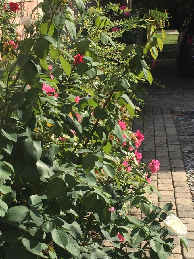 Rose Garden Mezzanine Bed and Breakfast Ζιβερνί Εξωτερικό φωτογραφία