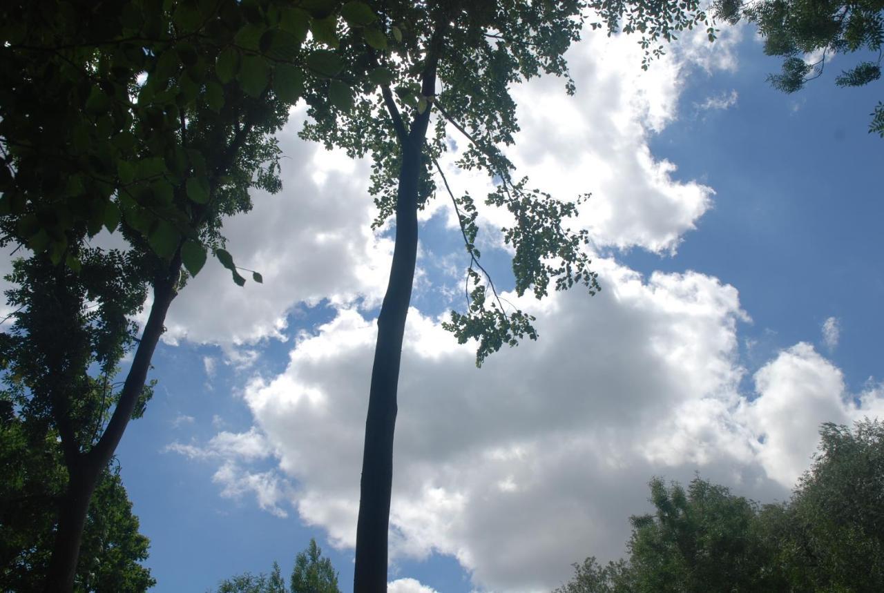 Rose Garden Mezzanine Bed and Breakfast Ζιβερνί Εξωτερικό φωτογραφία