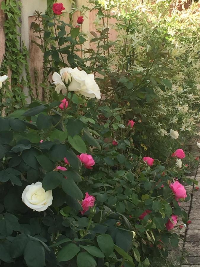 Rose Garden Mezzanine Bed and Breakfast Ζιβερνί Εξωτερικό φωτογραφία